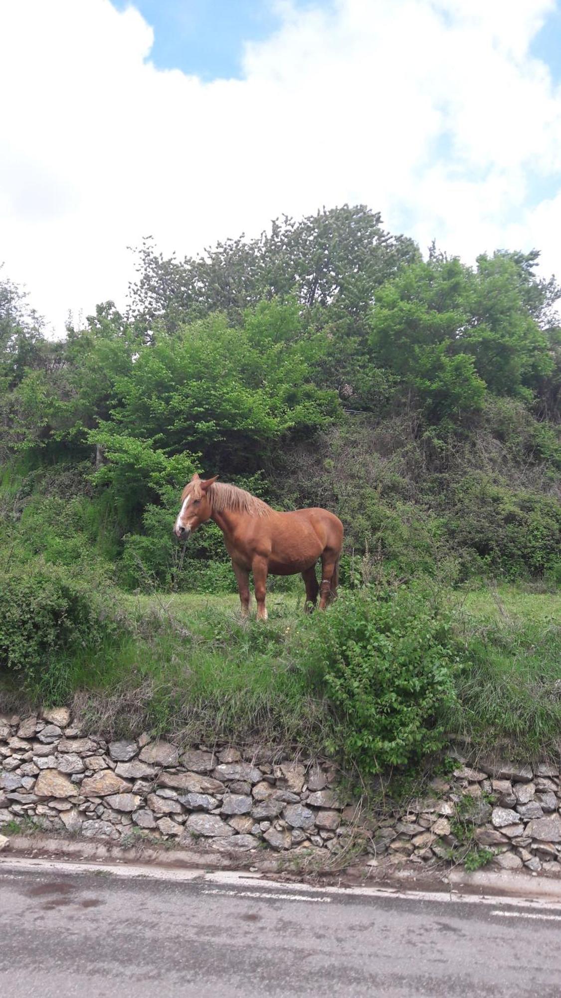 Casa Rural Baro Tornafort Luaran gambar